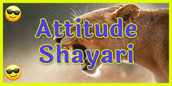 Attitude Shayari in Hindi